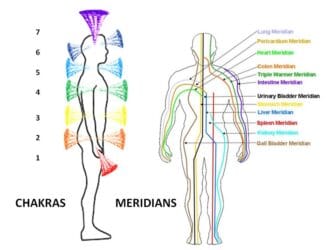 Dr. Sandeep Nath explains how Chakras and Meridians simplistically relate with each other