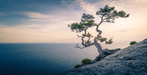 Sandeep Nath writes on designing an energy environment.