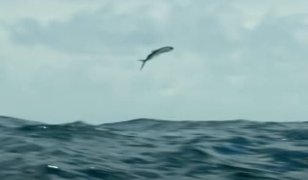 How to Set Priorities? An article by Sandeep Nath, India.